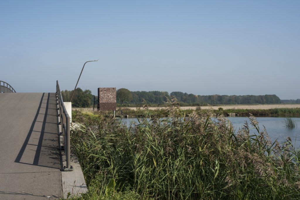 Fietsen in de Biesbosch