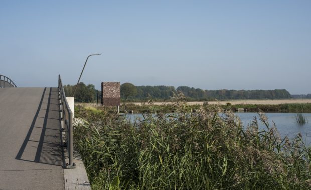 Fietsen in de Biesbosch